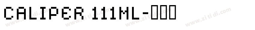 CALIPER 111ML字体转换